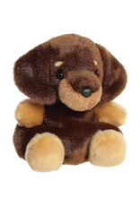 Palm Pals - Houdini Dachshund