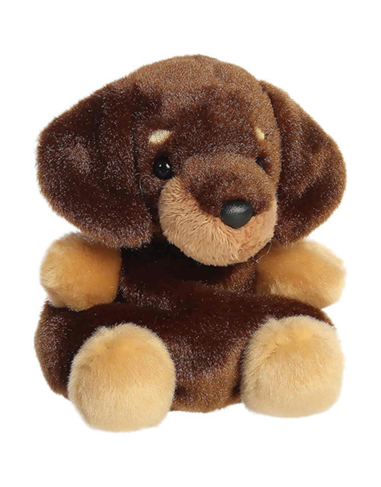 Palm Pals - Houdini Dachshund