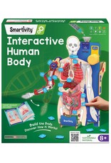 Interactive Human Body
