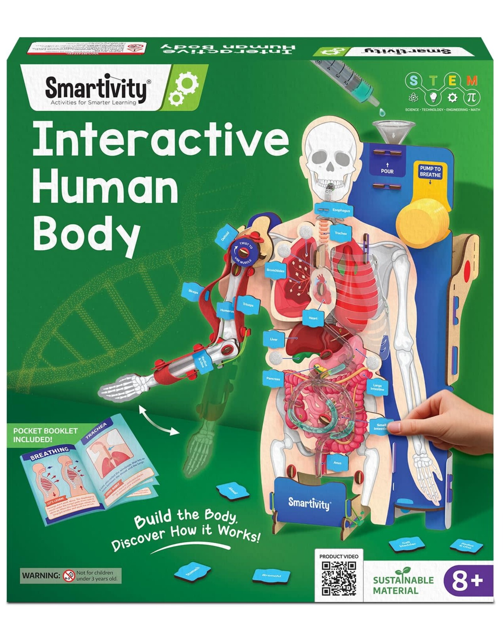 Interactive Human Body