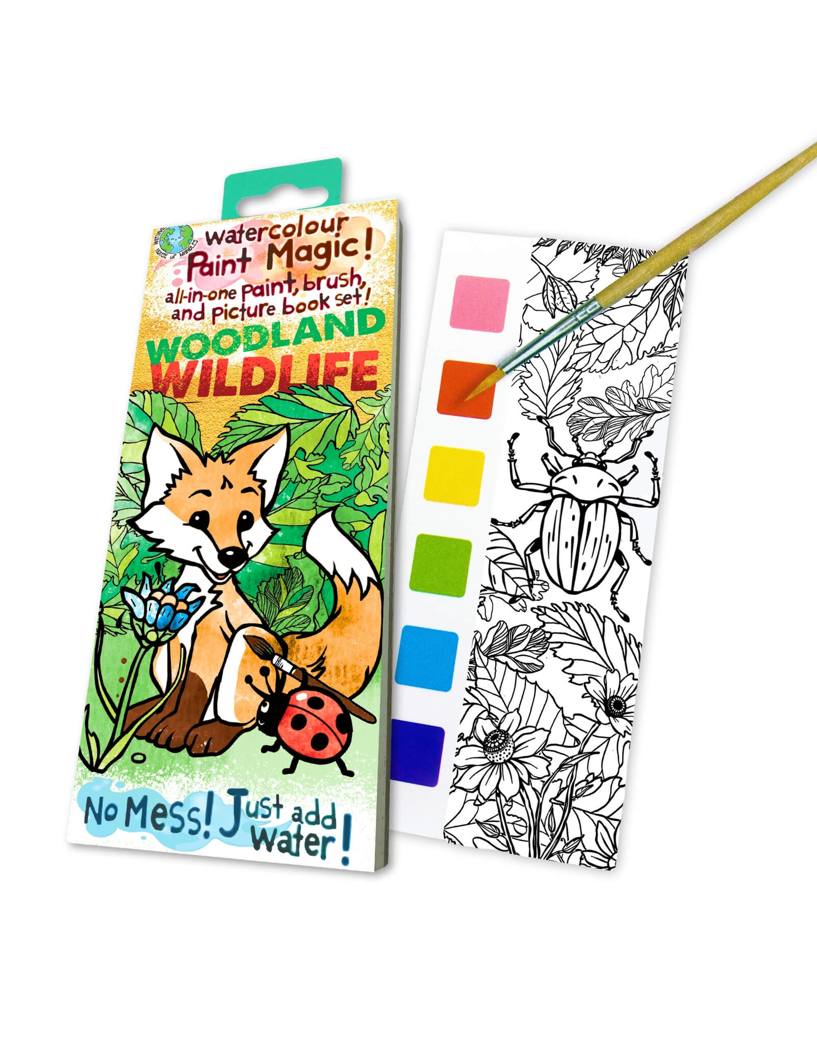 Paint Magic - woodland wildlife