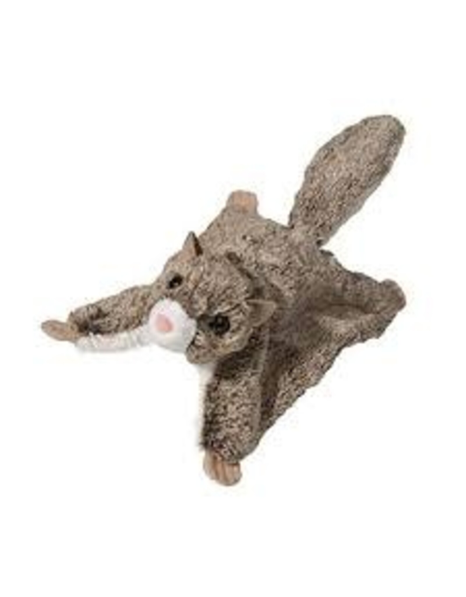 Jumper Flying Squirrel