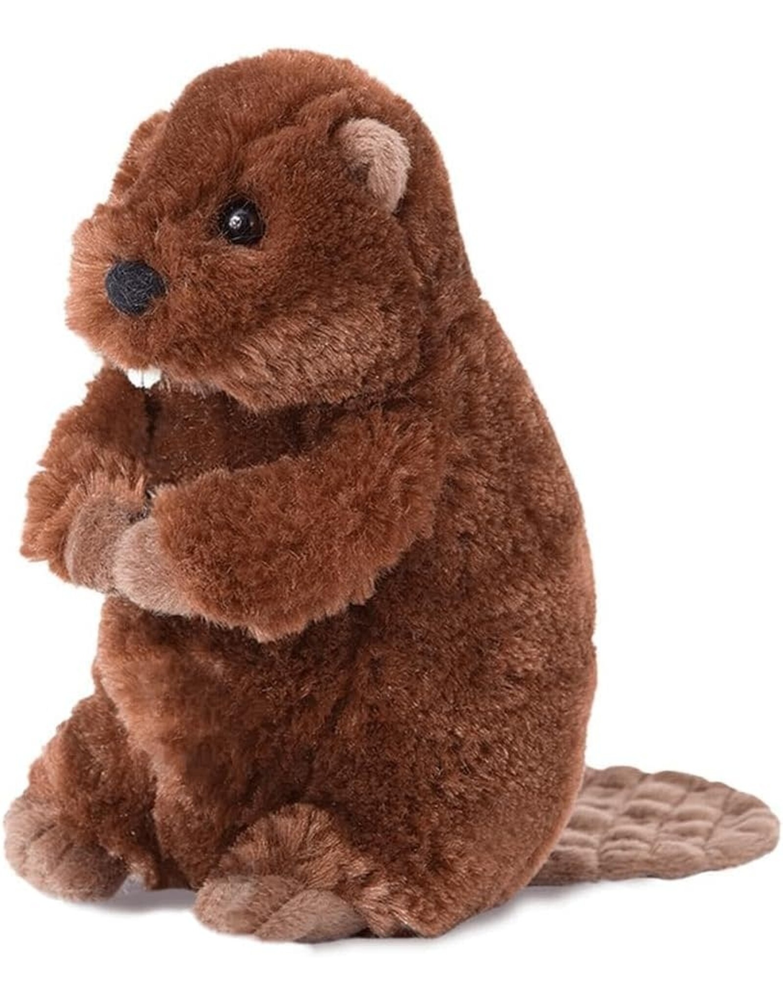 Buddy Beaver