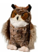 Einstein Great Horned Owl