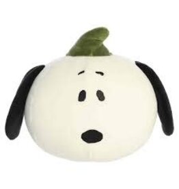 Snoopy Pumpkin