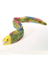 Moray Eel