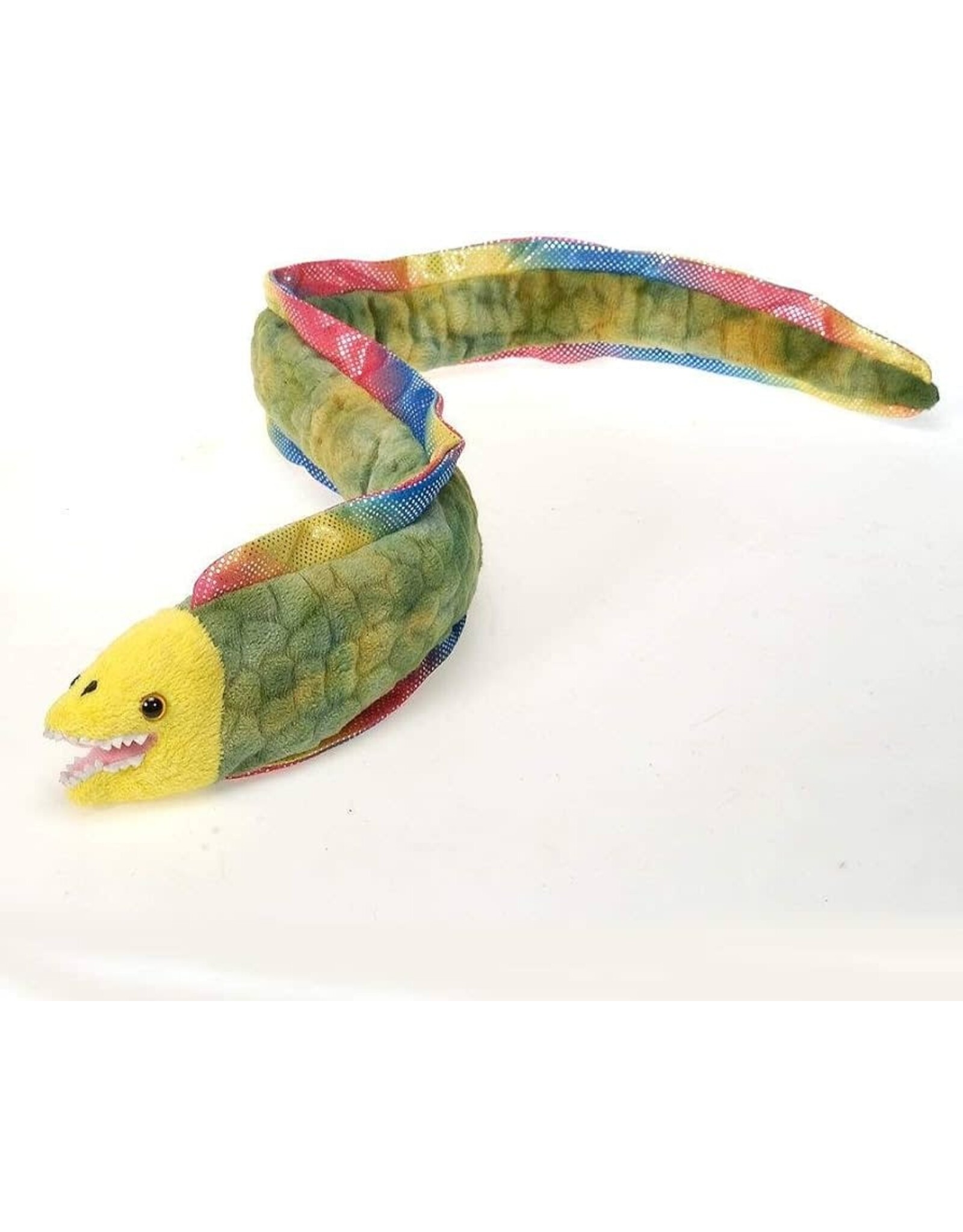 Moray Eel