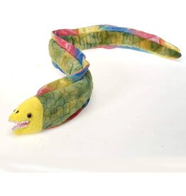 Moray Eel