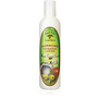Mango Coconut Guava 8.5oz Lotion