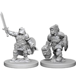 WIZKIDS Wizkids: D&D - Dwarf Female Paladin (W3)