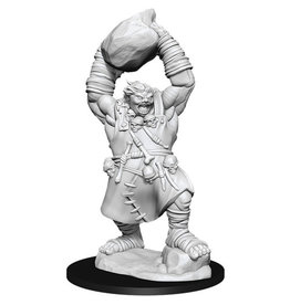 WIZKIDS Wizkids: PF - Ogre (W11)