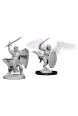 WIZKIDS Wizkids: D&D - Aasimar Male Paladin (W5)