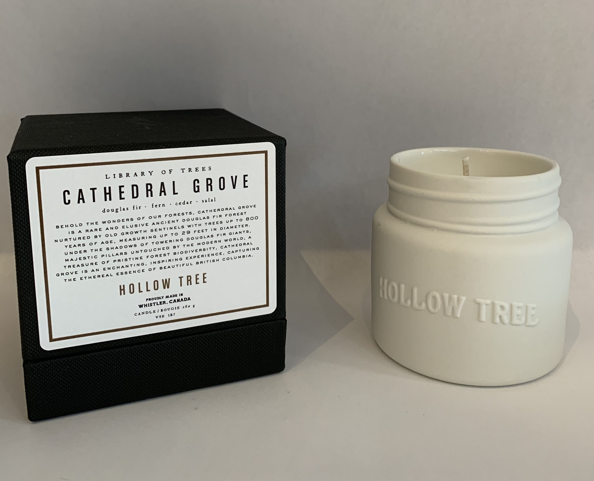 HOLLOW TREE CANDLES Cathedral Grove Candle Merchant Quarters