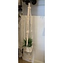 Local Macrame Plant Hanger