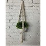Macrame Plant Hanger