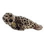Harbour Seal 11"