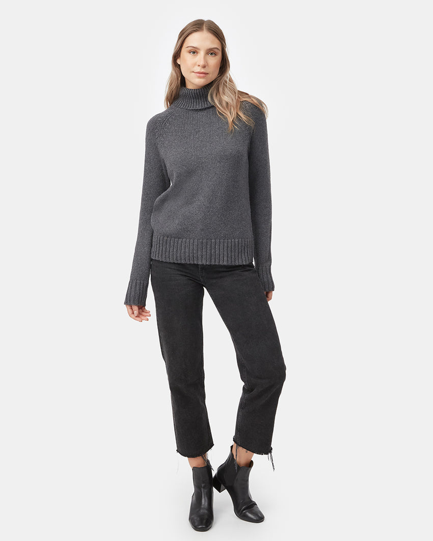 tentree Highline Fine Gauge Turtleneck