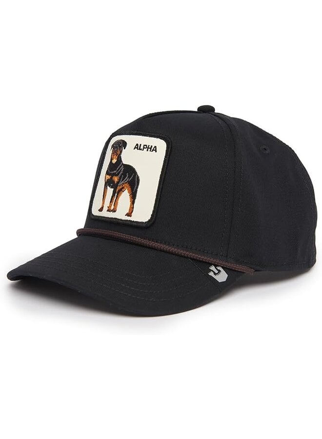 Alpha Dog 100 Hat Black
