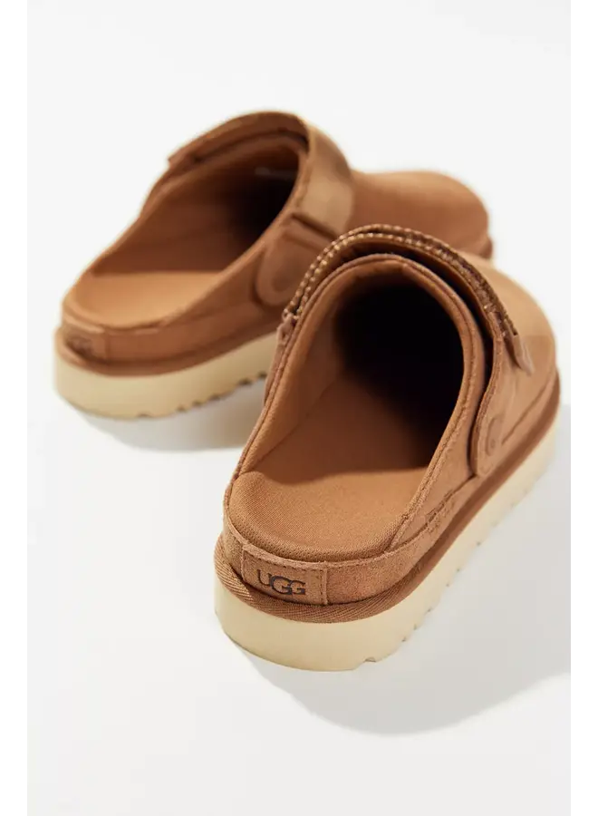 Goldenstar Clog
