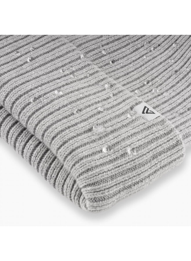 Forecast Beanie/Toque