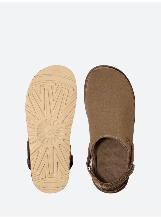 Goldenstar Clog