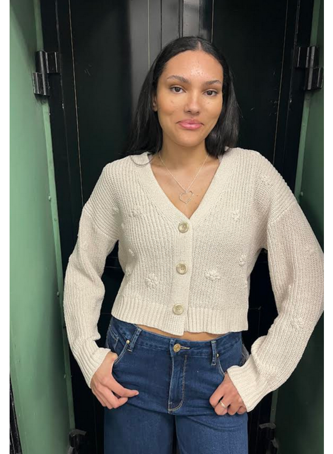 Z Supply Fleur Cardigan Z Supply Fleur Cardigan