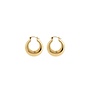Lauren Hoops Gold
