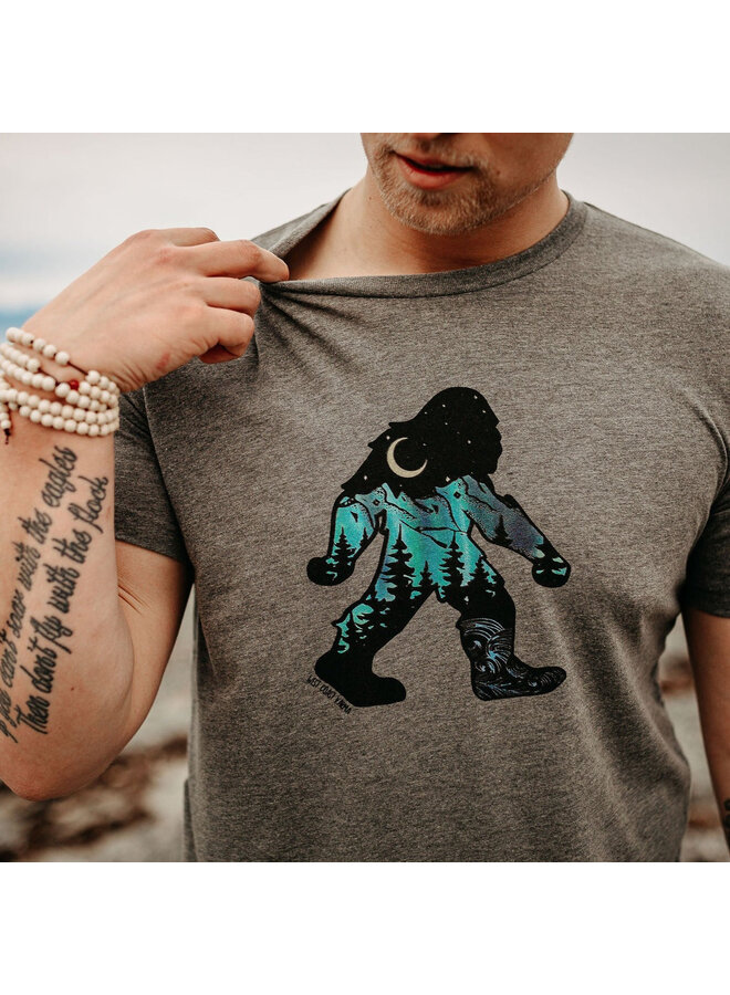 Sasquatch Northern Lights
