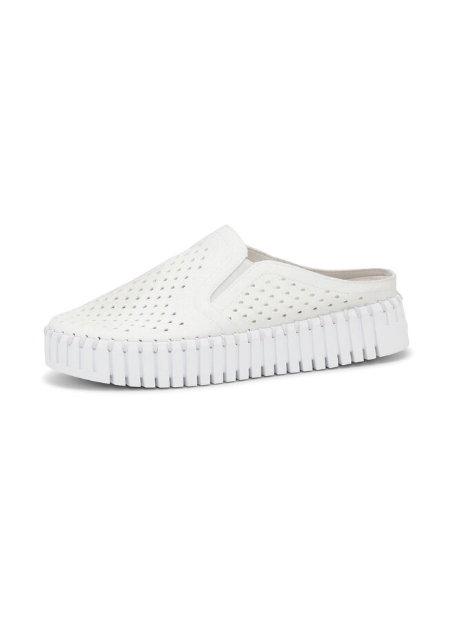 Tulip Platform Sliders