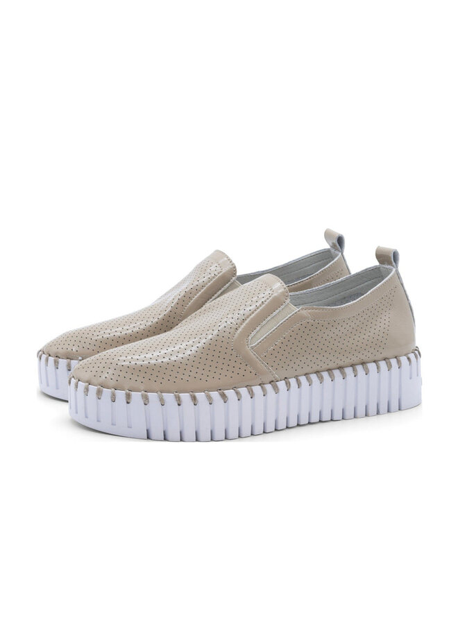 Tulip Platform 1010