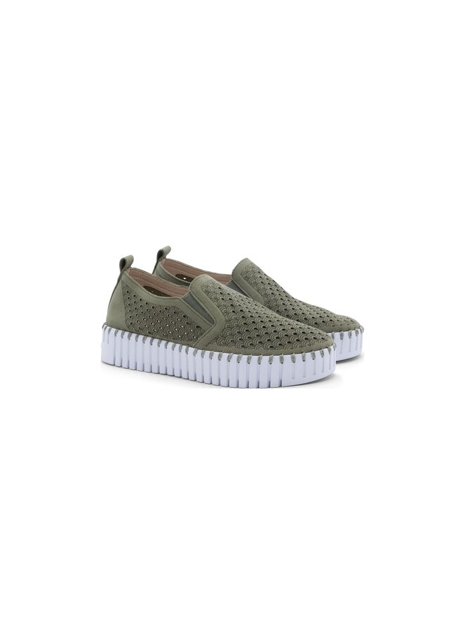 Tulip Platform Flat