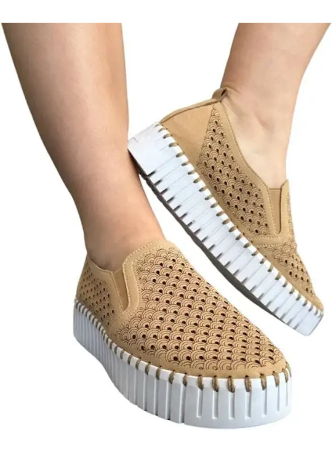 Tulip Platform Flat