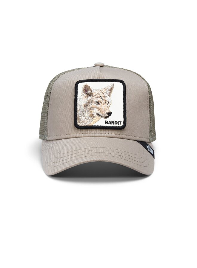 The Bandit - Coyote