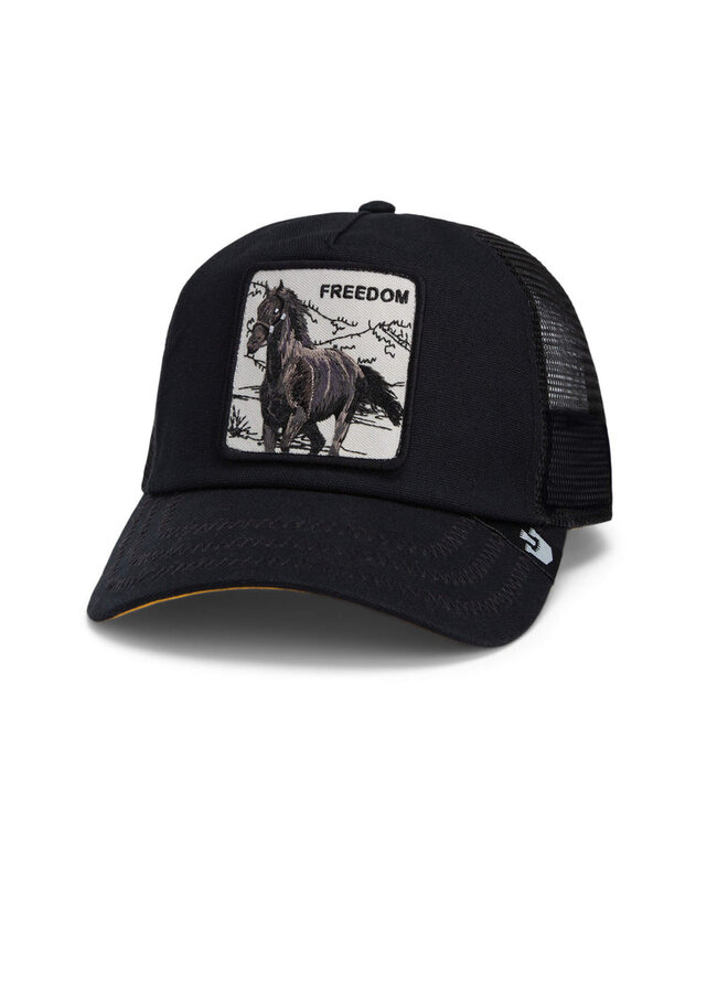 Run Wild - Stallion