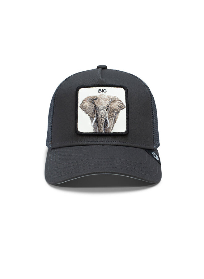 The Big Elephant