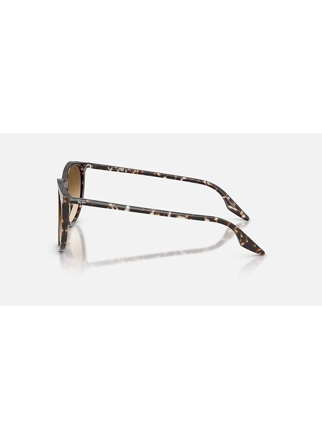 Phantos ORB2204 Havana Yellow Turtle W/Clear Gradient Brown