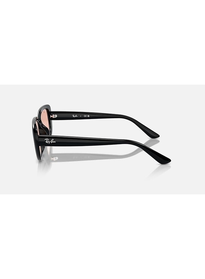 Wayfarer Black / Dark Pink Lens Orb4421D
