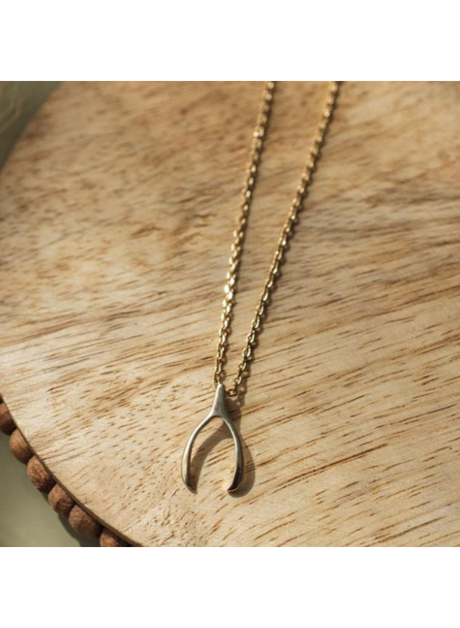 Wish Bone  Small Necklace