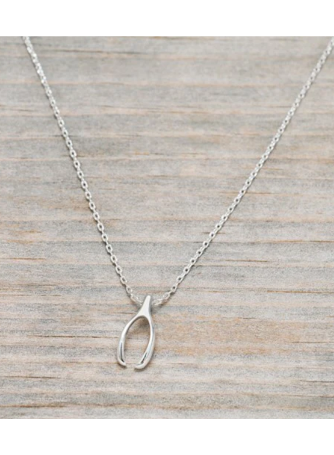 Wish Bone  Small Necklace