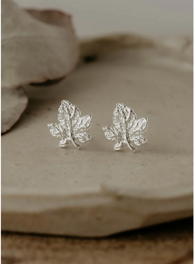 maple leaf Studs