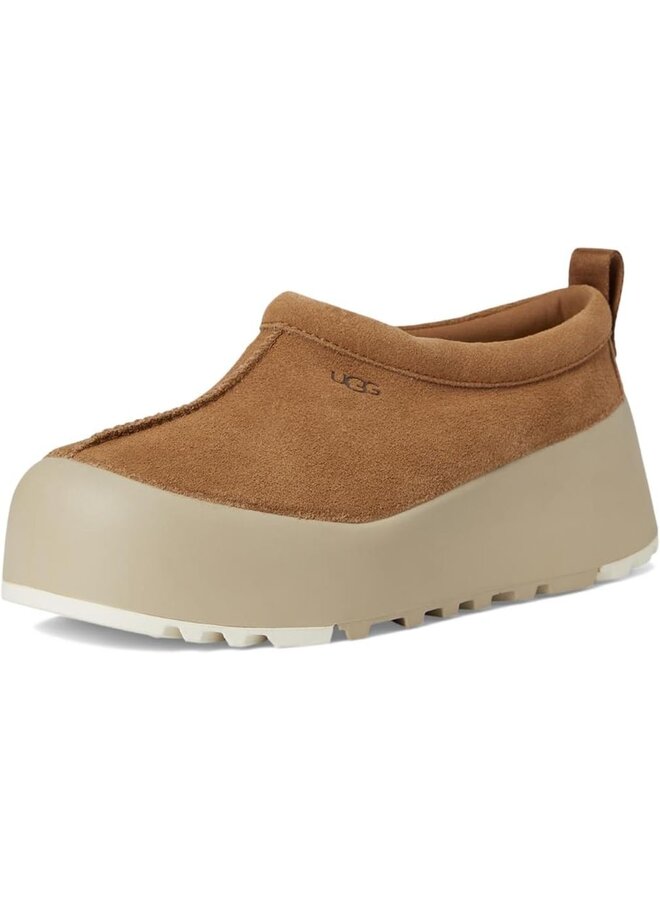 W Tasman Streetscape