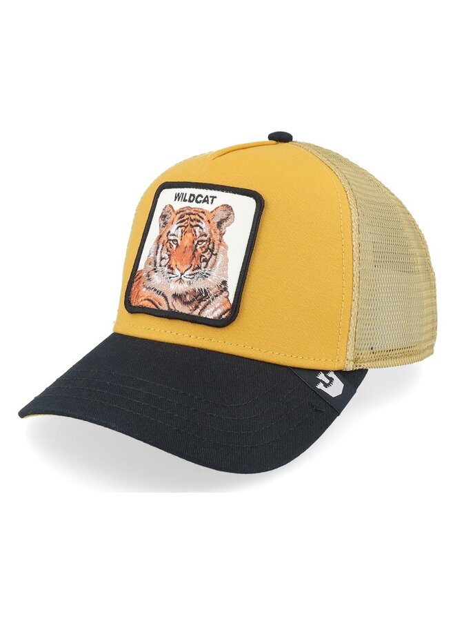 The Wildcat Tiger