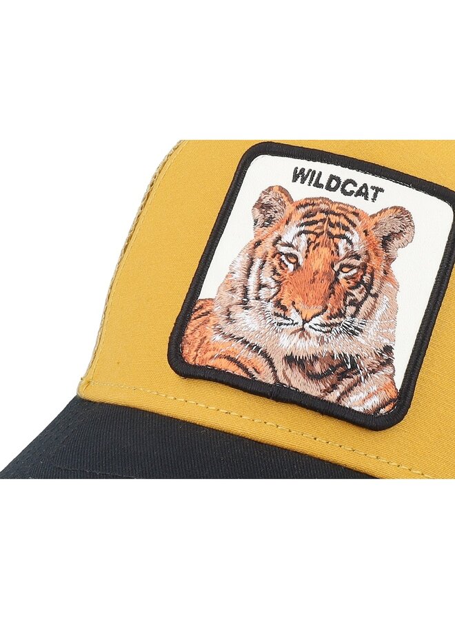 The Wildcat Tiger