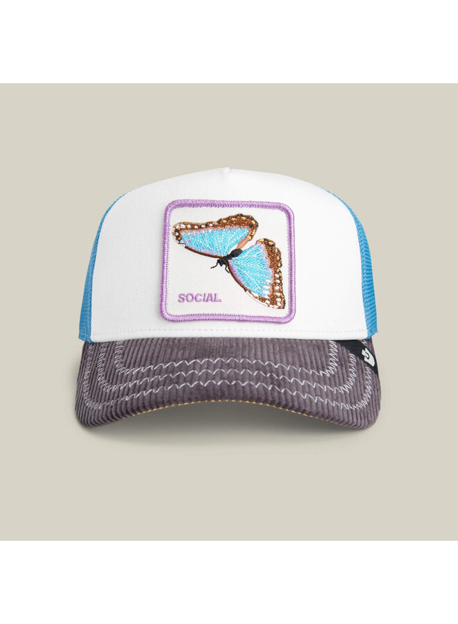 Social Remix Multicolor