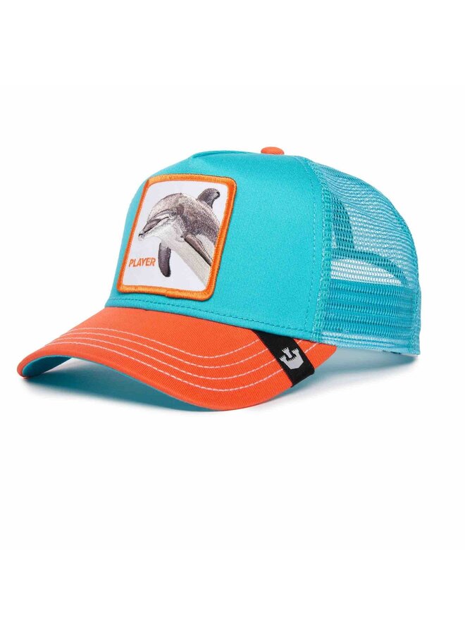 Dolphin Fan Turquoise