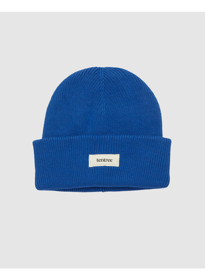 Alden Beanie