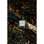 Salt Spring 50ml