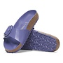 Madrid Big Buckle Purple Dusk