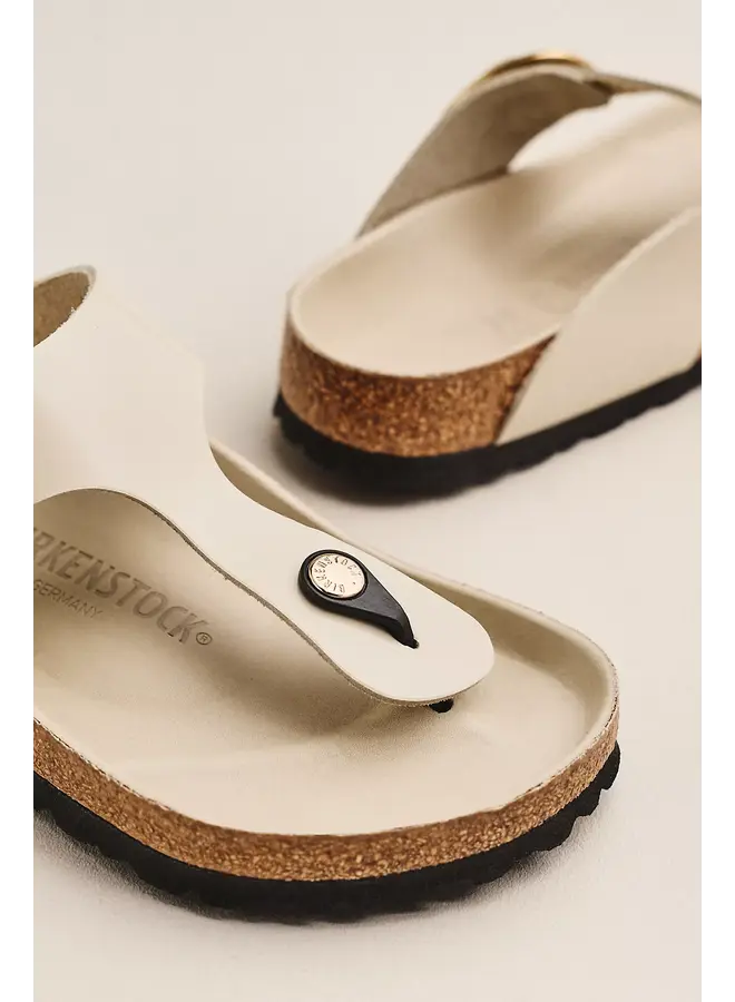 Gizeh High Shine Oyster