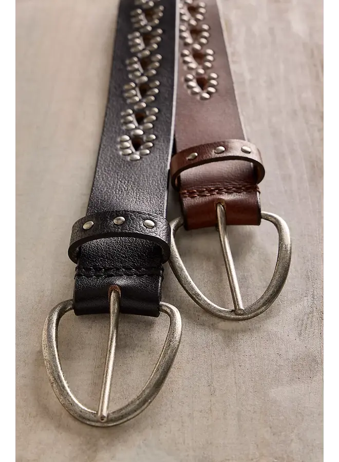 WTF Preston Stud Belt